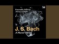 A musical offering bwv 1079 sonata sopril soggetto reale ii allegro