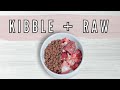 Is It Safe To Mix Kibble And Raw Meat?