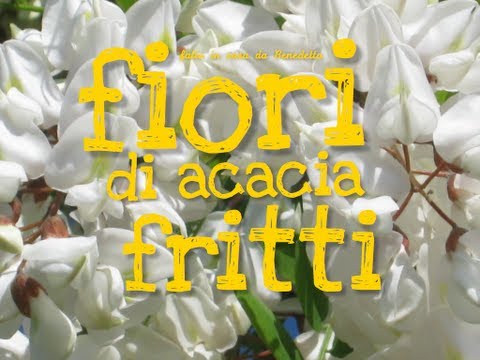 FIORI DI ACACIA FRITTI FATTI IN CASA DA BENEDETTA