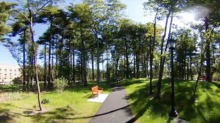 Pine Tree Preserve 360° Video