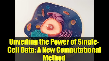 Unveiling the Power of Single-Cell Data: A New Computational Method