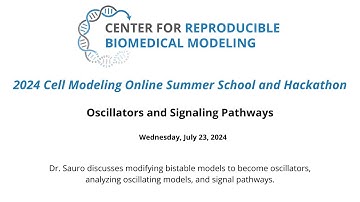 2024 Summer School & Hackathon - Day 3.2 - Oscillators and Signaling Pathways
