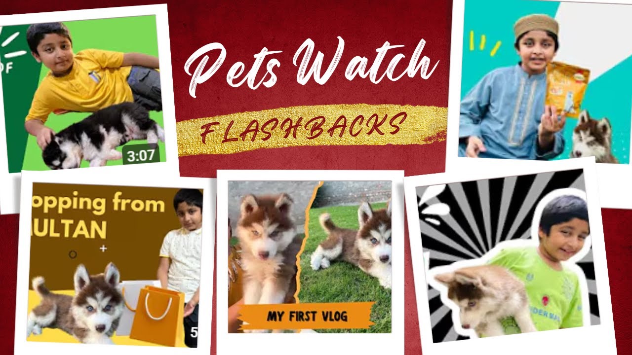Unforgettable throwbacks with our Leo | Pets watch Memories. - YouTube