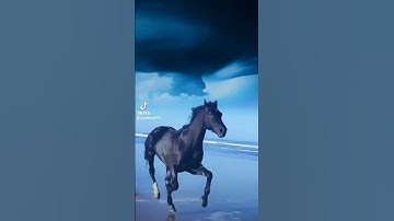 #سورة#الجمعة #قران_كريم #عبدالرحمن_السديس