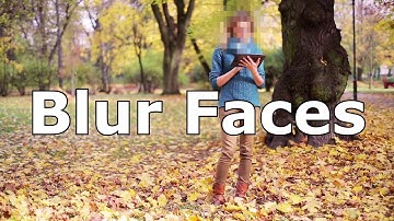 Blur Faces VEGAS Movie Studio 16 Platinum & Pro 16