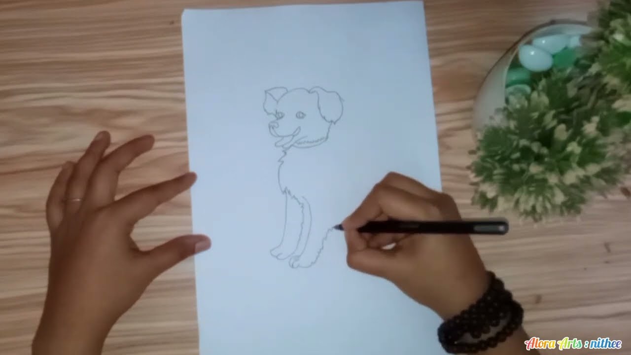 Step By Step Dog Drawing 