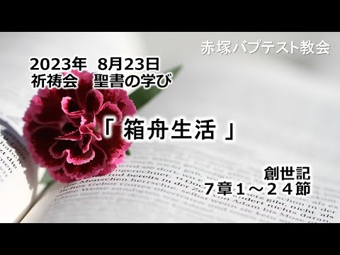 2023年 8月23日(水)赤塚教会祈祷会　聖書の学び「箱舟生活」創世記7章1～24節