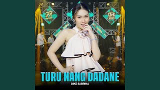 Download Lagu Turu Nang Dadane