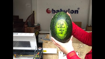 Máy khắc dưa hấu Laser 6040 -60w, Mất bao nhiêu thời gian? Bao tiền?