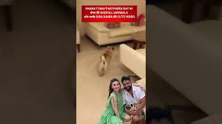 PARAG TYAGI ने MOTHERS DAY पर शेयर की SHEFALI JARIWALA और उनके DOG SIMBA की CUTE VIDEO