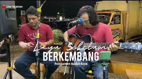 SPESIAL Riquest TAMU - LAYU SEBELUM BERKEMBANG - (live Ngamen) Pengamen Sudut Kota