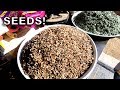 Mixing the wildflower seed for the ditch gardens mp3