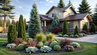 Elevate Your Yard Design | Coniferous Plants for a Striking Landscape