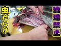 バラムツと同じでオムツが必要な魚！流通禁止レベルの有害魚！！！