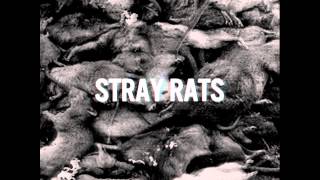 Watch Heights Stray Rats video