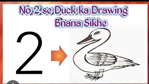 how to draw a duck|| easy duck drawing from number 2||easy drawing