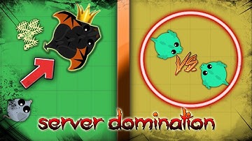 Mope.io // SOLO SERVER DOMINATION IN 1 HOUR! // (Mope.io Funny Moments, Epic 1v1s)