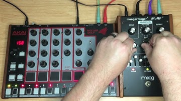 BEST. ANALOG DRUMMACHINE. EVER. (with Bass Synth thru Moog MuRF)