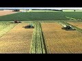 How to Harvest Rice? Rice Harvest Process Rice Harvesting Rice Farming - Rice Agriculture Technology