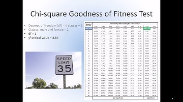 MARB303 Lecture 08   Hypothesis testing 3 video