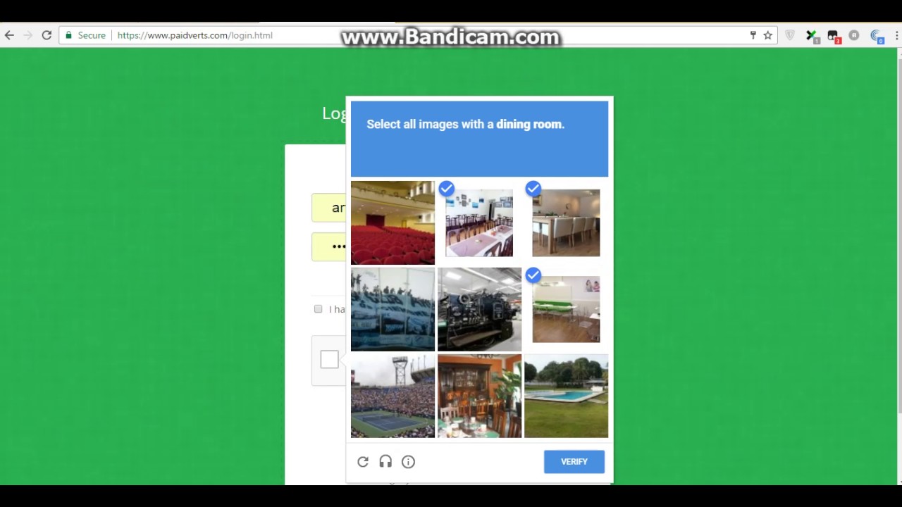 How to earn money with paidverts