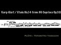 14 Karg Elert Moto Perpetuo From 30 Caprices Op 107 No14 カルク エラート 30のカプリス mp3