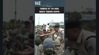 Farmers March to Bhopal Demanding 100% MSP Procurement for Moong | #shorts