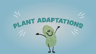 Plant Adaptations