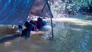 Solo camping di tengah sungai hutan kalimantan‼️mencari ikan | fishing camp