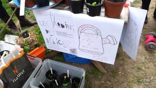 Les Yard Des Délices Stand, Plant Bartering