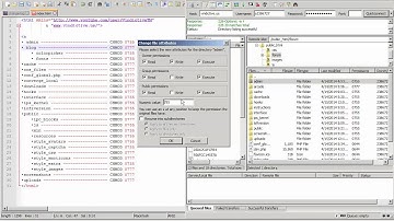 How to properly CHMOD ftp files