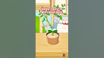 The Secret to Cloning a Lemon Tree With a Water Bottle🍋 #lemontree #animation