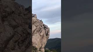 Cuervo en la montaña