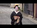 京都 上七軒 舞妓さん 梅ひなさんの新年挨拶まわり　Maiko New Year Greetings in Kamisichiken,Kyoto,Japan.