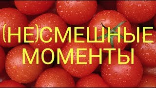 картинка: (НЕ)Смешные моменты «Читаем фанфики про Шаров»