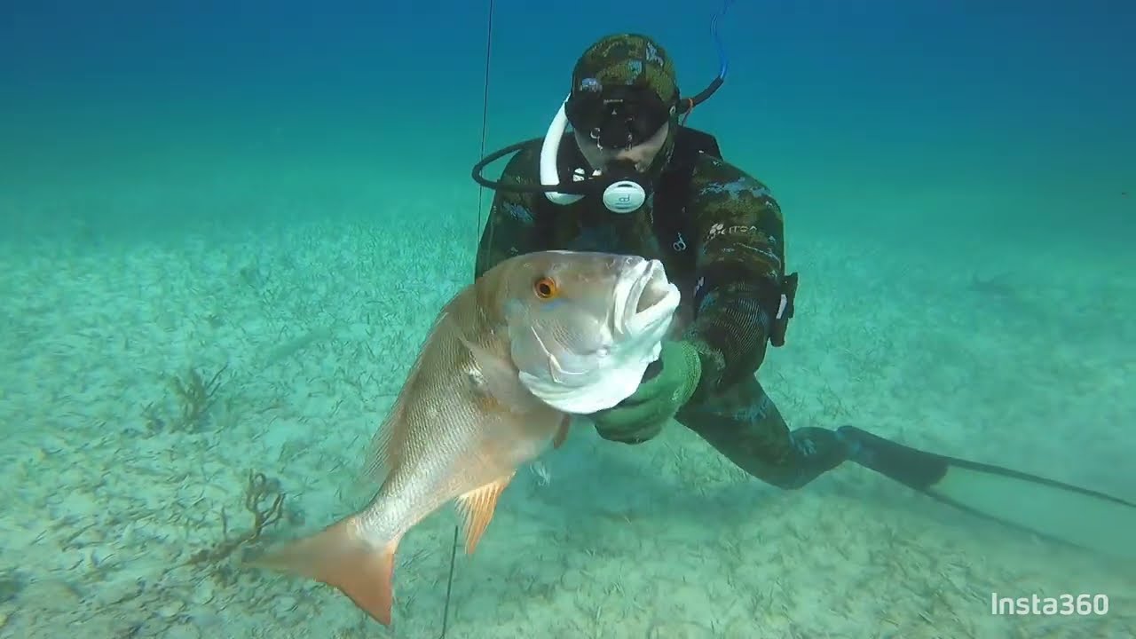 Spearfishing with Air Buddy