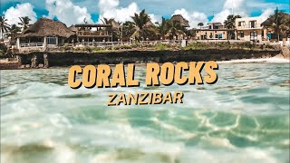 Coral Rocks Zanzibar Обзор Отеля Март 2021г TANZANIA