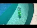 Free Pool Chlorine Dispersing Floating Device
