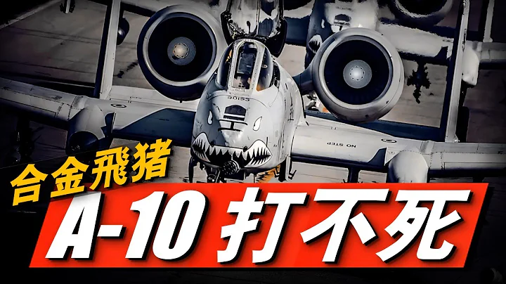 最抗揍戰斗機！發動機被打爛、機翼被轟出大洞，仍安全返航！剝皮式解析重甲疣豬A-10，美陸軍最愛的空軍單位！#兵器說 #美國空軍 #A-10攻擊機 - 天天要聞