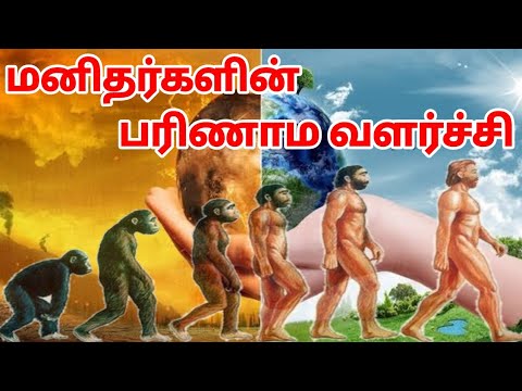 மனிதனின் பரிணாம வளர்ச்சி | Evolution of human | human evolution theory | குரங்கிலிருந்து மனிதன் வரை