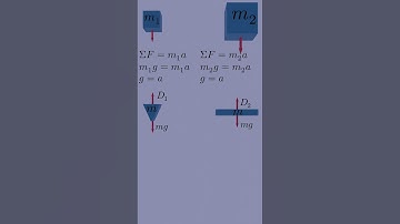 Why Objects Should Fall at the Same Rate (But Don