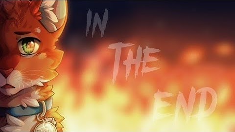 «In the end»//Firestar//Cat