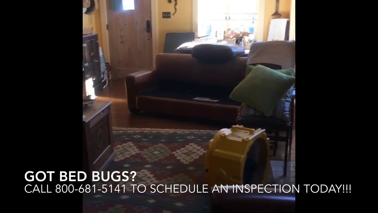 Bed Bug Heat Treatment in Venice, California