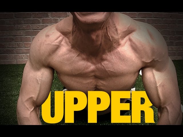 Chest Workout: At Home With and Without Equipment