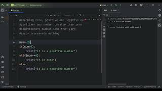 Python Program: Is a Number Positive, Negative or Zero