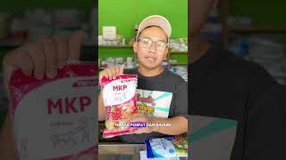 Beli Pupuk NPK dan MKP #benihonline