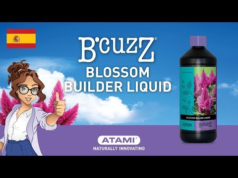 B'cuzz Blossom Builder Liquid | (Animation ES)