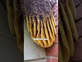 这就是为什么野生蜂蜜贵的原因 有趣 这就是为什么野生蜂蜜贵的原因 有趣