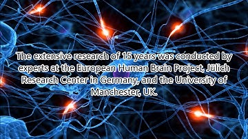 Computer That Can Closely Mimic Human Brain’s Neural Network