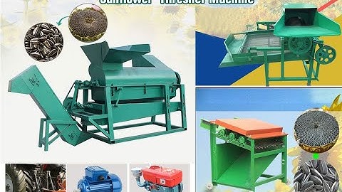 3 types home use shelling sunflower seeds / sunflower seed sheller